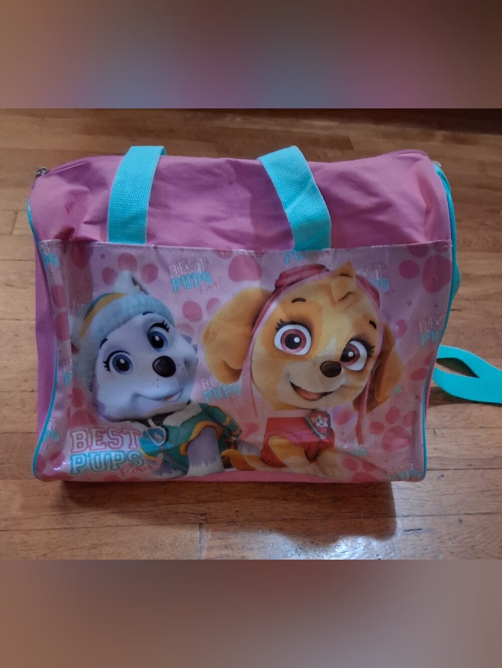 Paw Patrol Skye & Everest Kids Bag